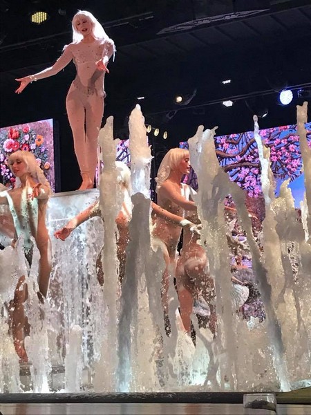 Paris Merveille Show
